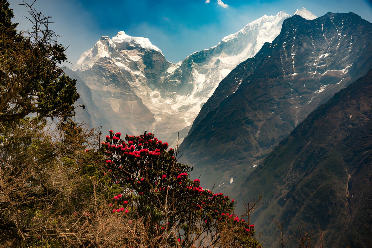 Arun Valley Trek