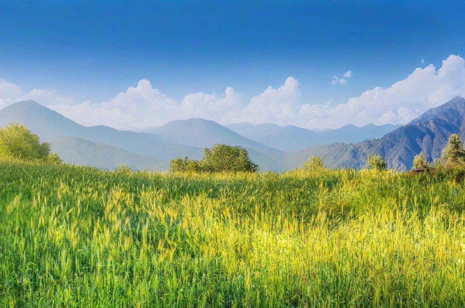 Annapurna Circuit Trek
