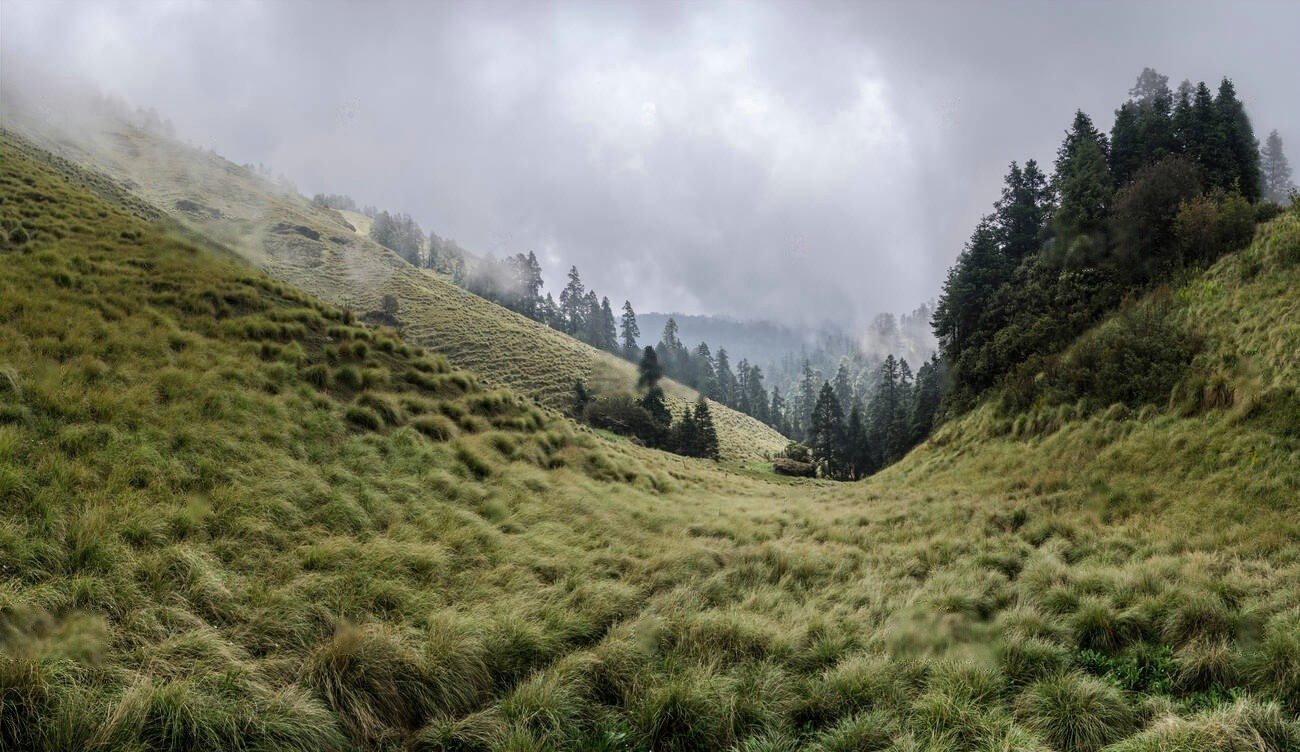 Mohare Danda Trek- 12 Days